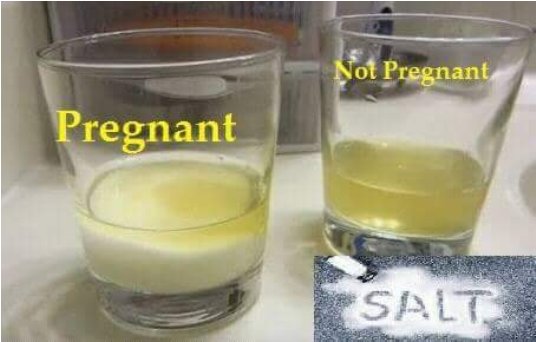 homemade pregnancy test