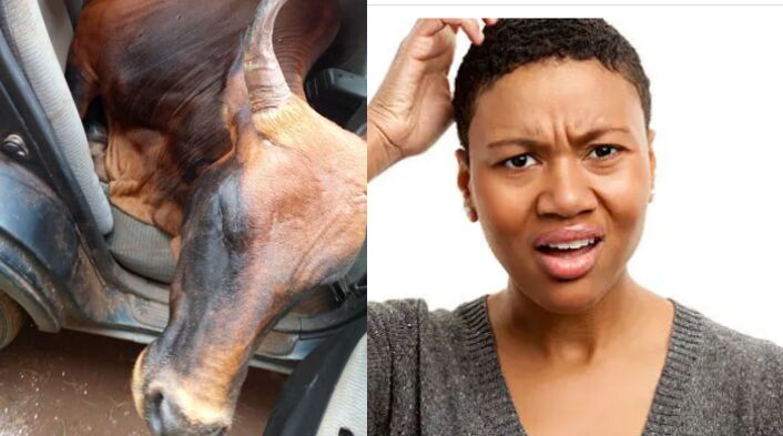 Netizens Perplexed After Man Was Caught Stealing 6 Cows In A Toyota Wish