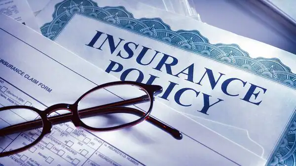 Largest Contributions To Insurance Premiums Registered From Non-Life