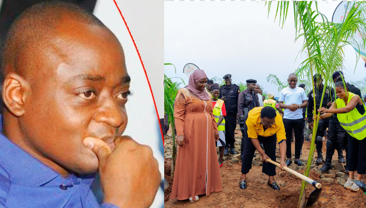 Tycoon Hamis Kiggundu Furious With KCCA Workers For Destroying Palm Trees In The City