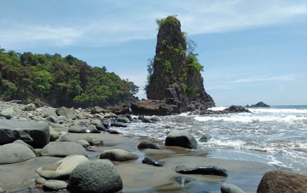 PAFI Kabupaten Pesisir Barat Lampung: Peran Vital dalam Meningkatkan Kesehatan Masyarakat