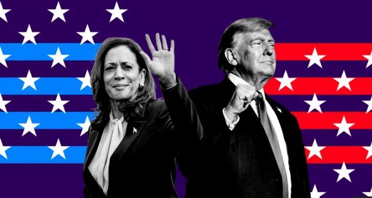 US Election Polls: Who Is Leading - Harris Or Trump?